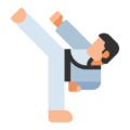 GoGoTaekwondo